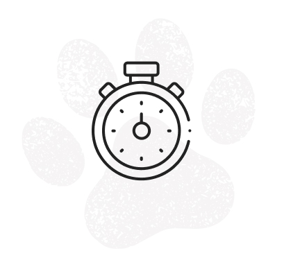 負担にならない30分撮影のアイコン