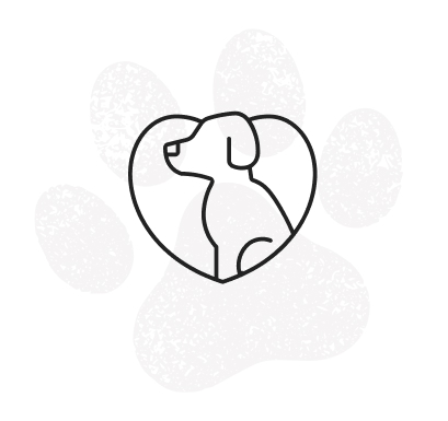 安心・安全な撮影のアイコン