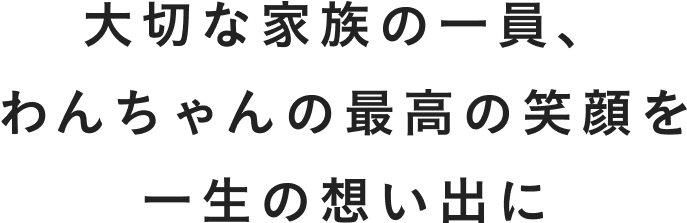 大切な家族の一員、わんちゃんの最高の笑顔を一生の思い出に