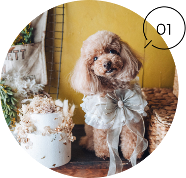 おすすめのご利用シーン１のアイコン